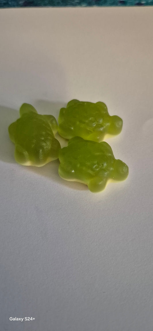 Green turtles per 100g