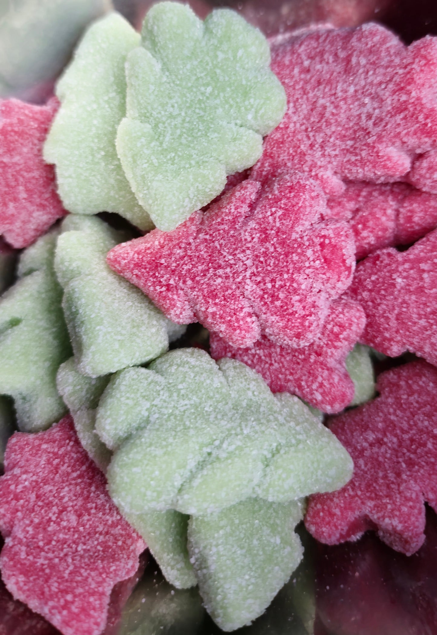 Christmas Trees