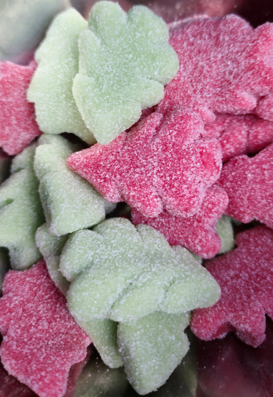 Christmas Trees