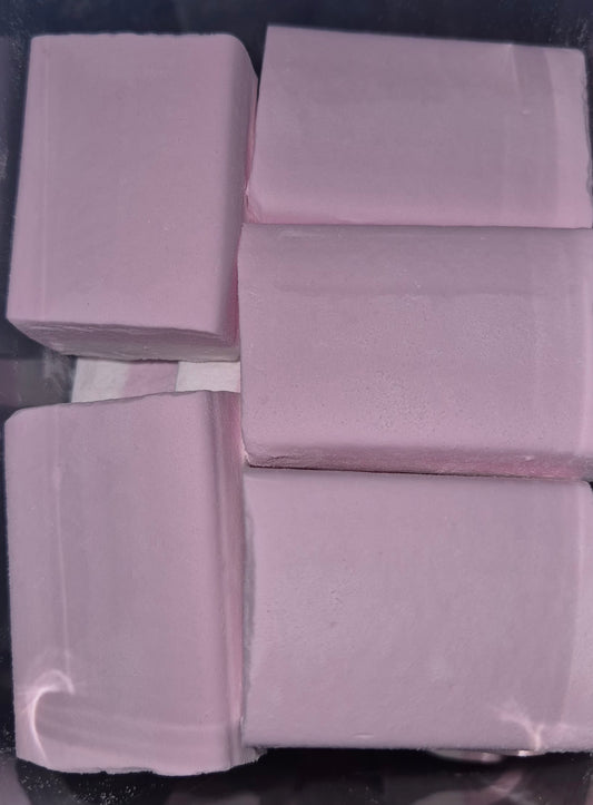 Sherbet ice blocks 10pk