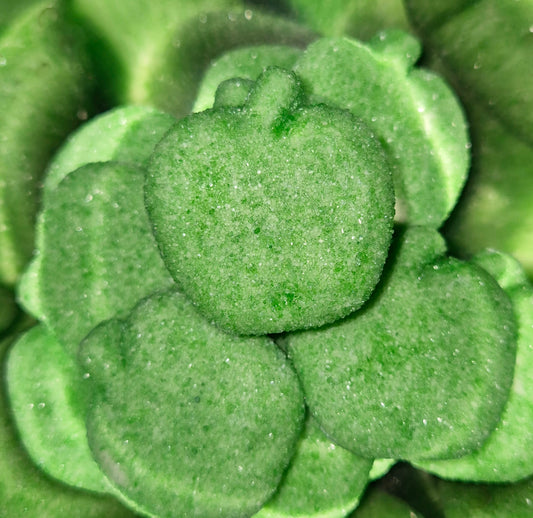 Green apple 100g