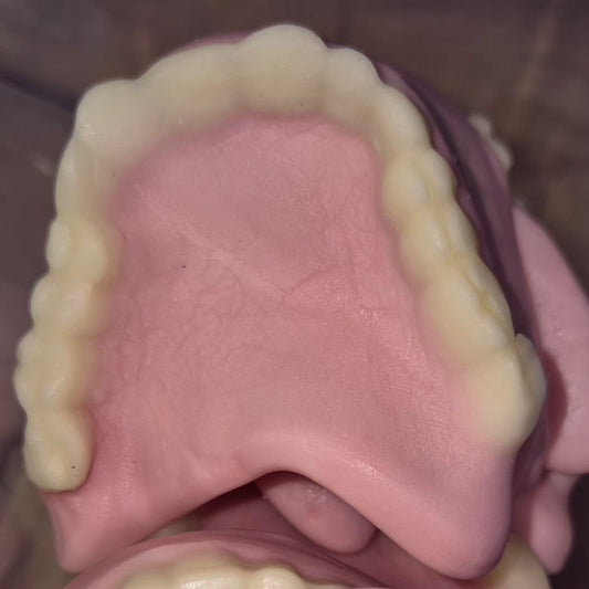 Dentures 100g